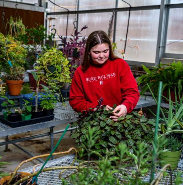 A student working in the greenhouse. 