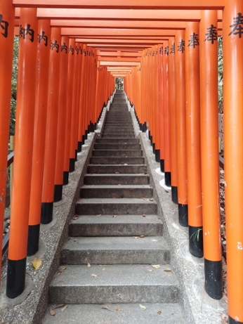  Red Torii Gate tunnel 