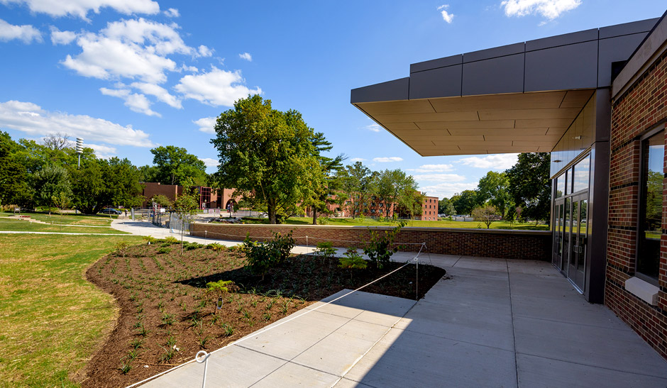 Newly planted landscape plants around the building entrance