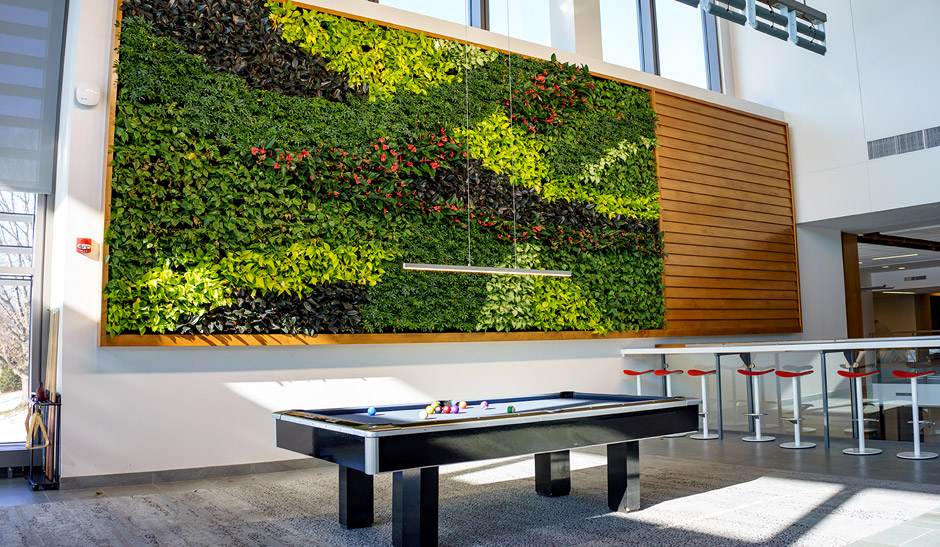 Wall made of plants in student union.