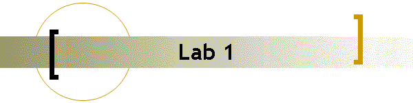 Lab 1