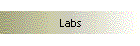 Labs