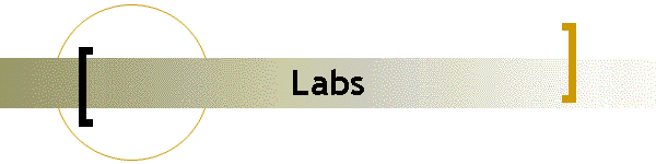 Labs