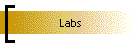 Labs