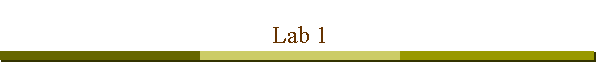 Lab 1