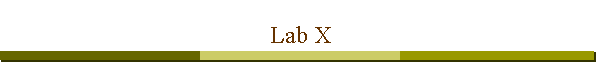 Lab X