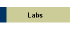 Labs