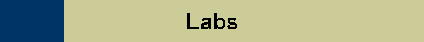 Labs