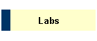 Labs