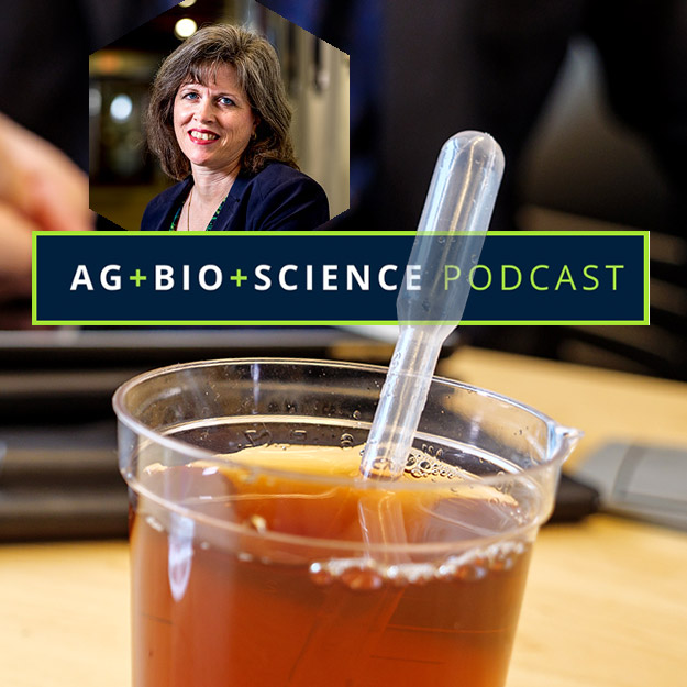 Image of Rose-Hulman chemistry professor Luanne Tilstra.