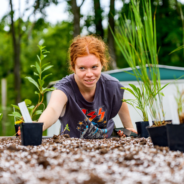 Click the image to read more about Summer Sustainability Scholars.